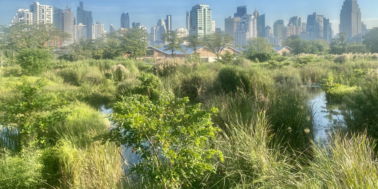 Bangkok’s 30 Most Popular Parks in Bangkok